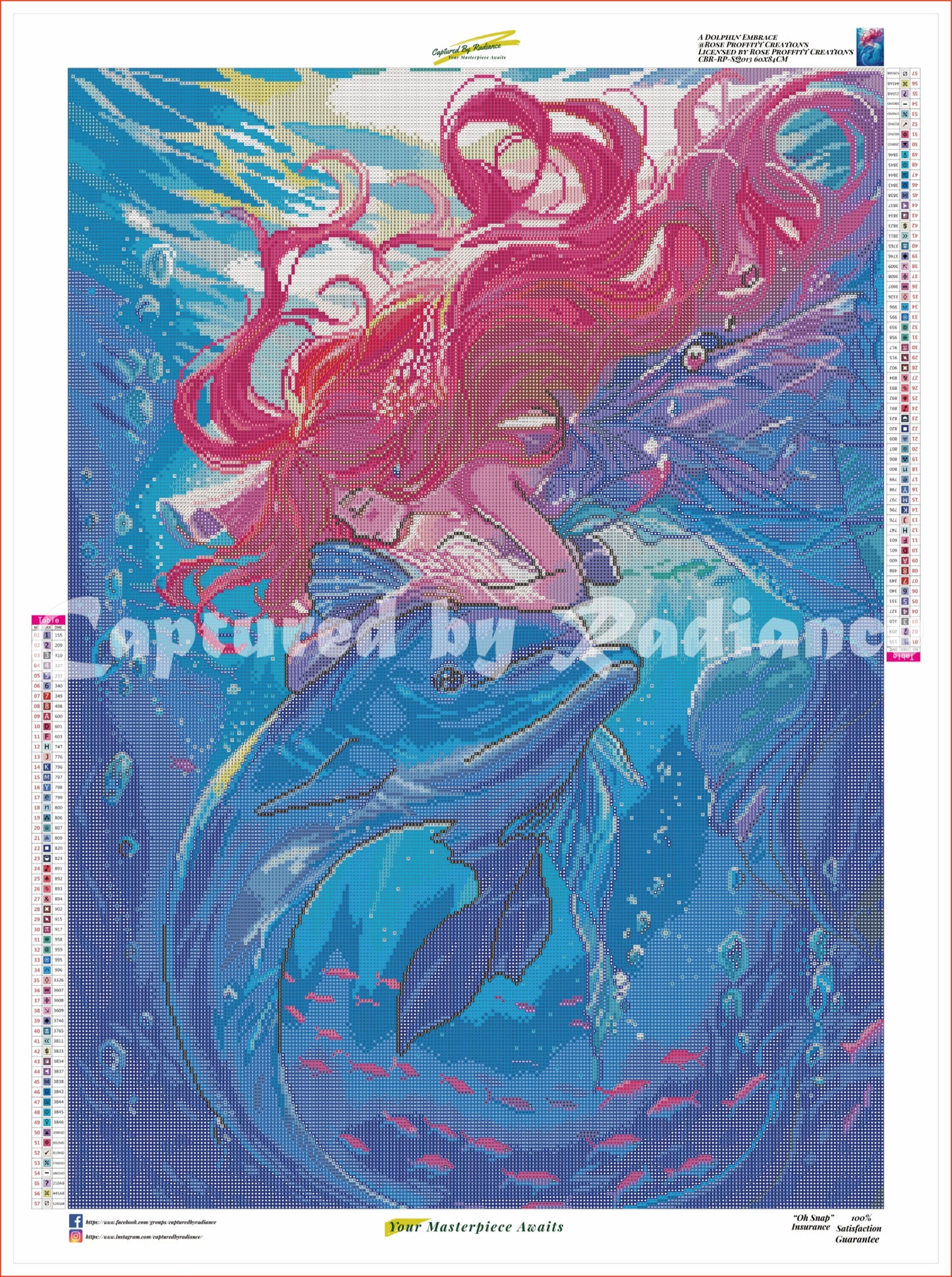 A Dolphin Embrace