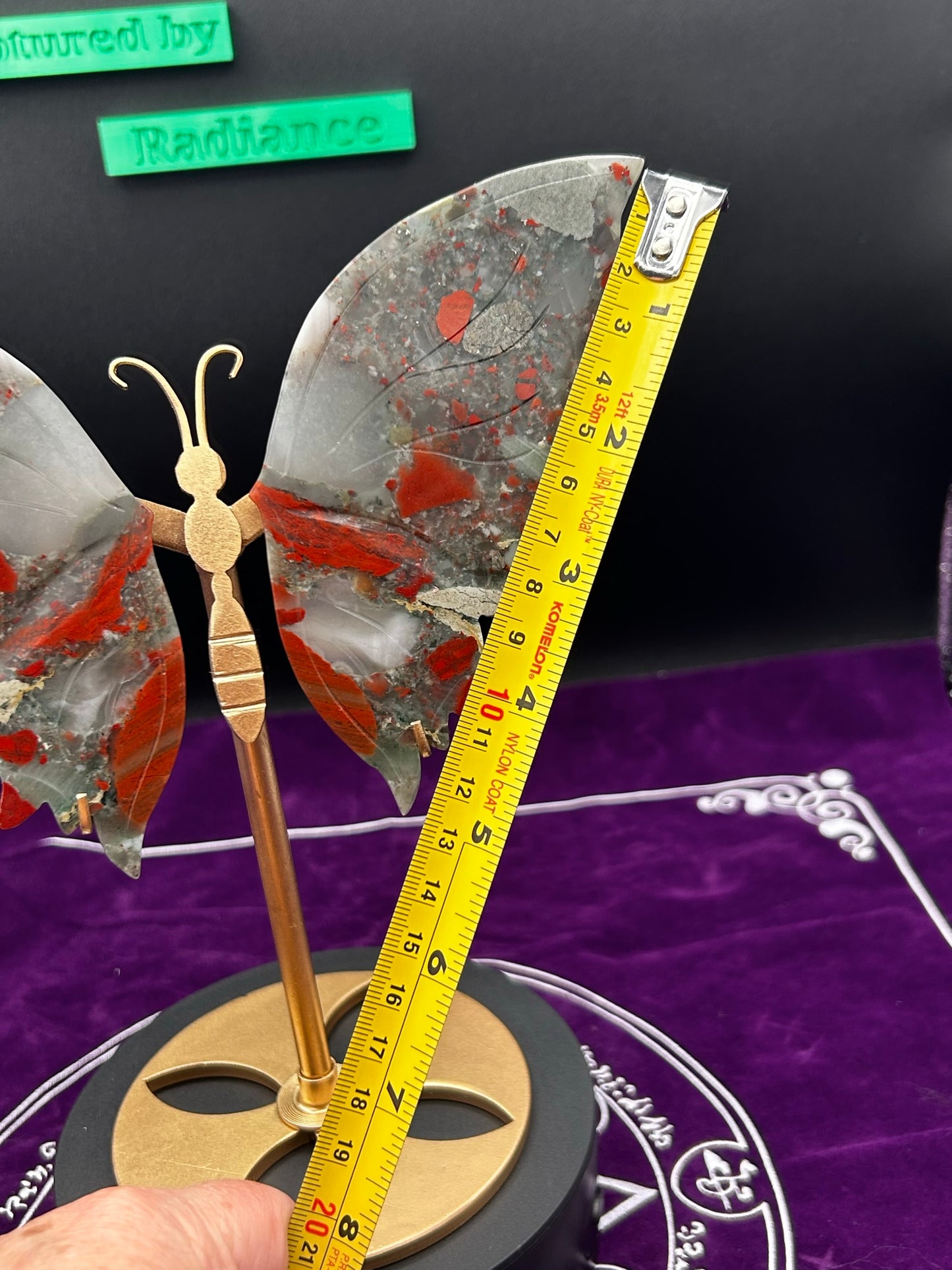 African Bloodstone Butterfly Wings