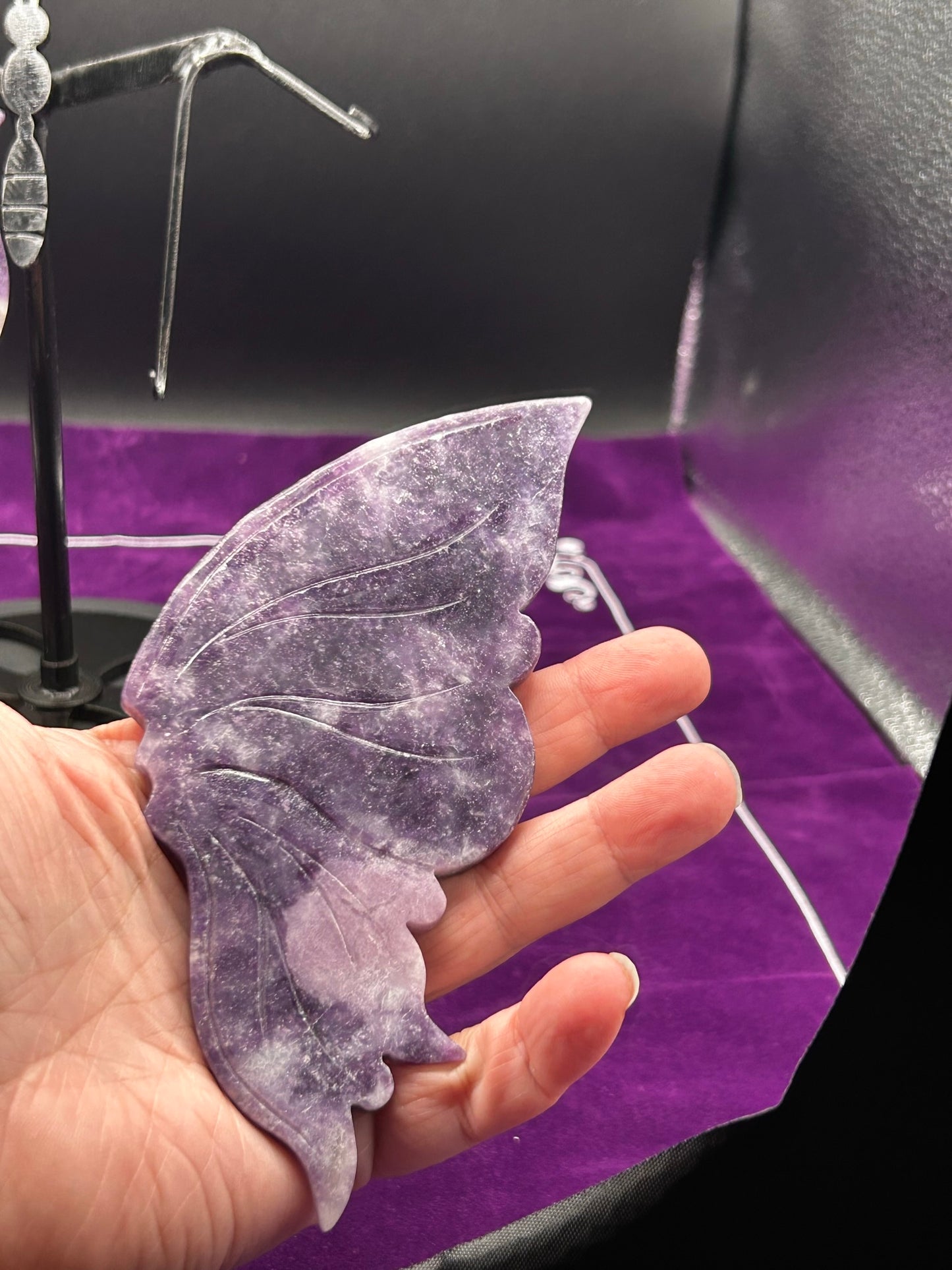 Lapedolite Butterfly Wings