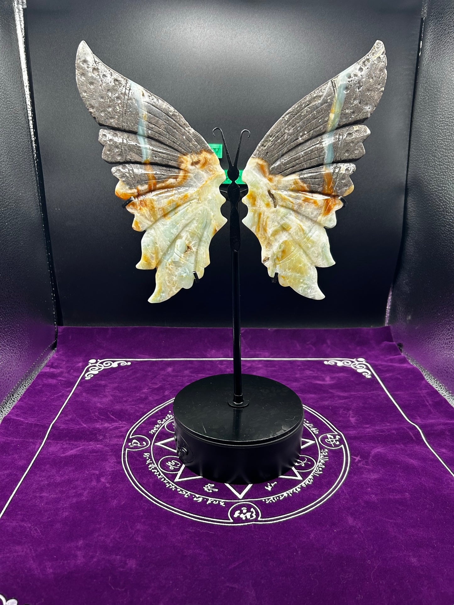 Large Caribbean Calcite Butterfly Wings