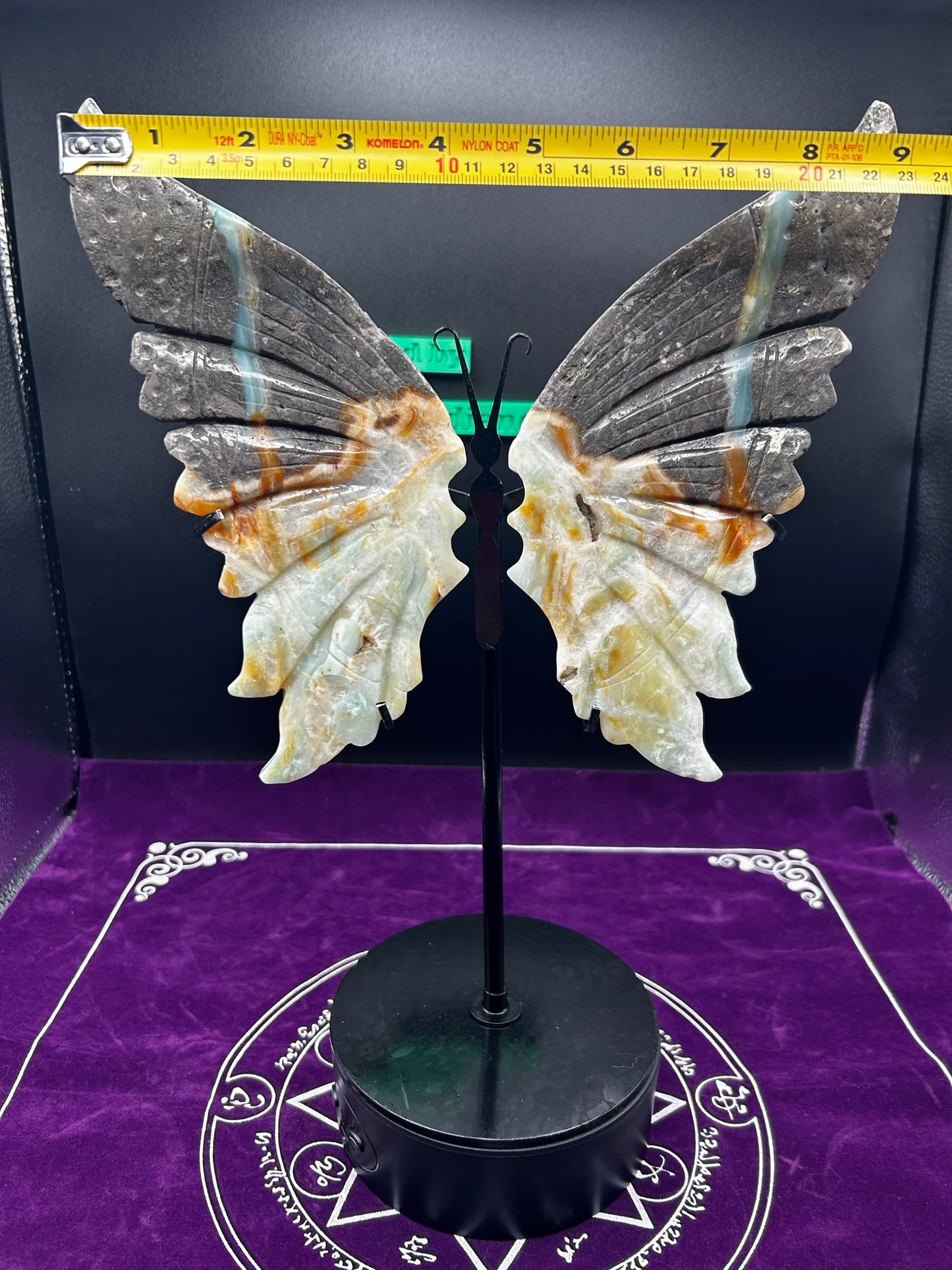 Large Caribbean Calcite Butterfly Wings