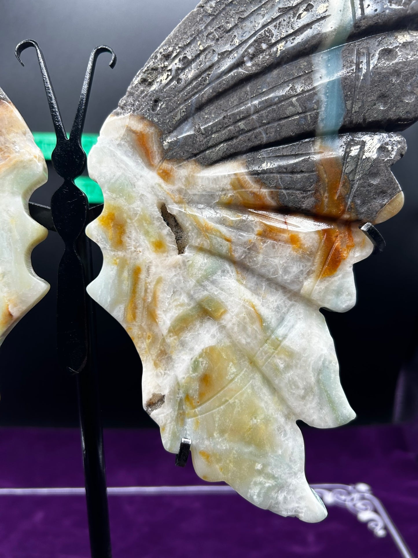 Large Caribbean Calcite Butterfly Wings