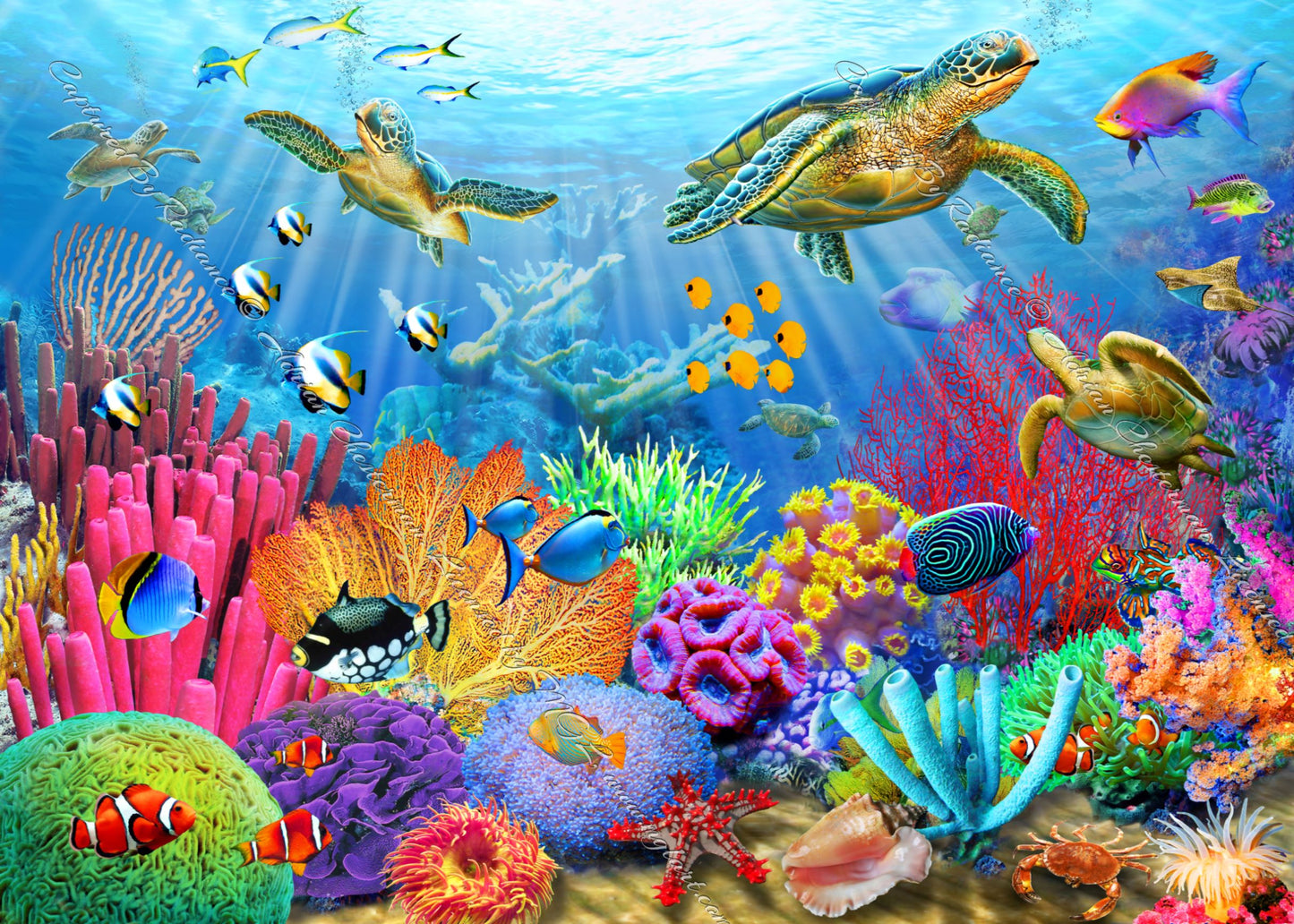 Turtle Coral Reef by Adrian Chesterman