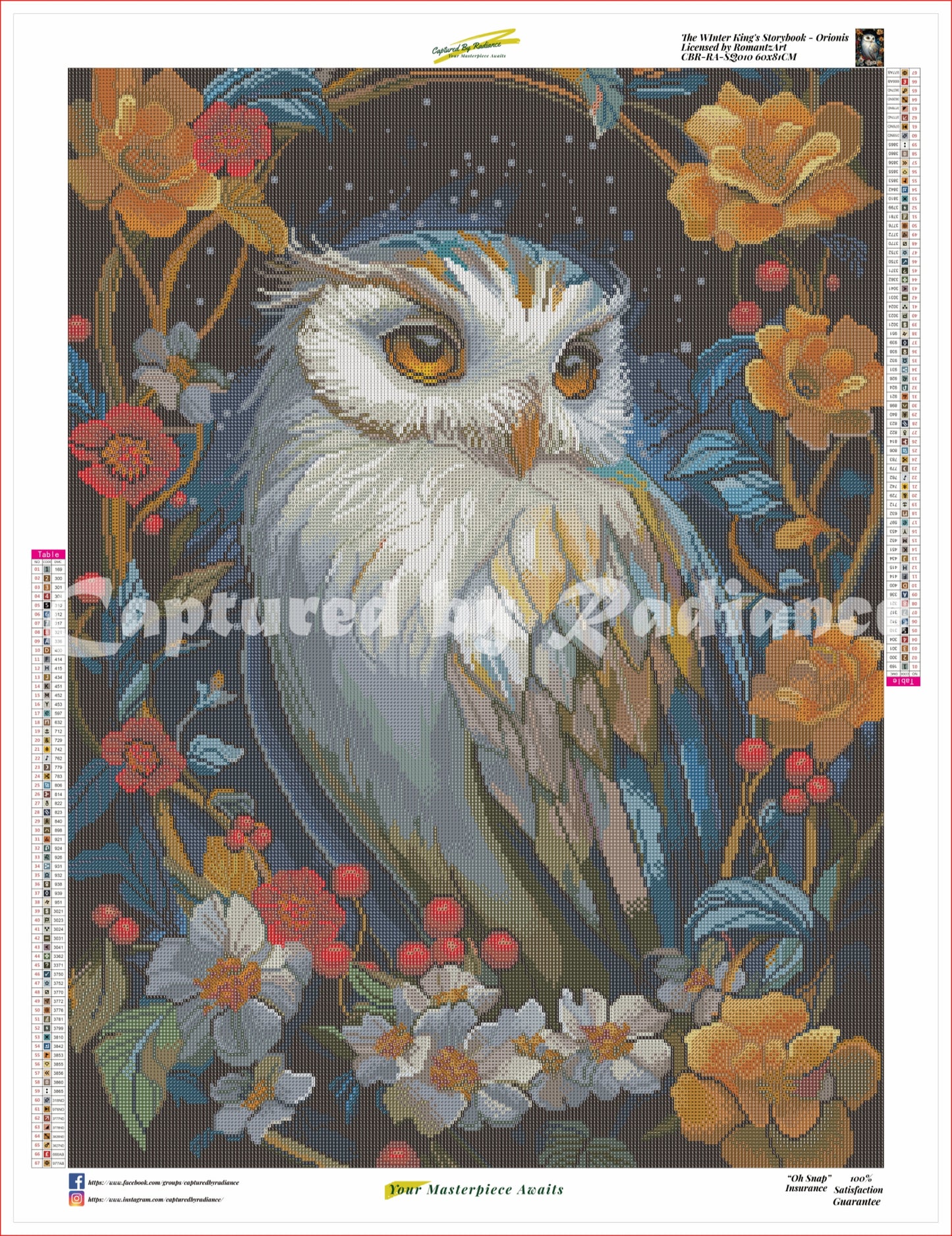 Winter King's Storybook Orionis by RomantzArt