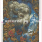 Winter King's Storybook ~ Baelmor (Pre Order)