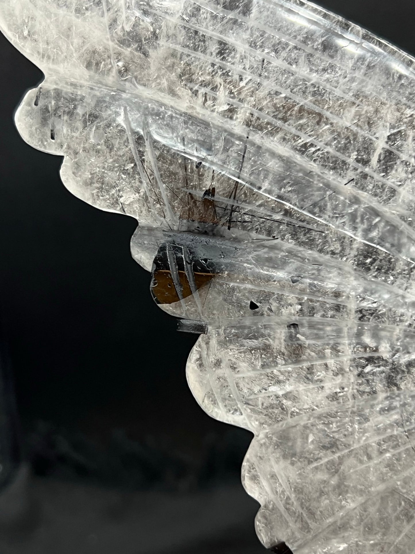 Clear Quartz with Black Tourmaline Butterfly Wings B3