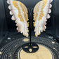 Honey Calcite Butterfly Wing B5