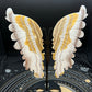 Honey Calcite Butterfly Wing B5