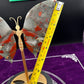 African Bloodstone Butterfly Wings