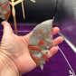 African Bloodstone Butterfly Wings