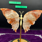 Fire Quartz Butterfly Wings
