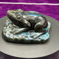 Labradorite Frog