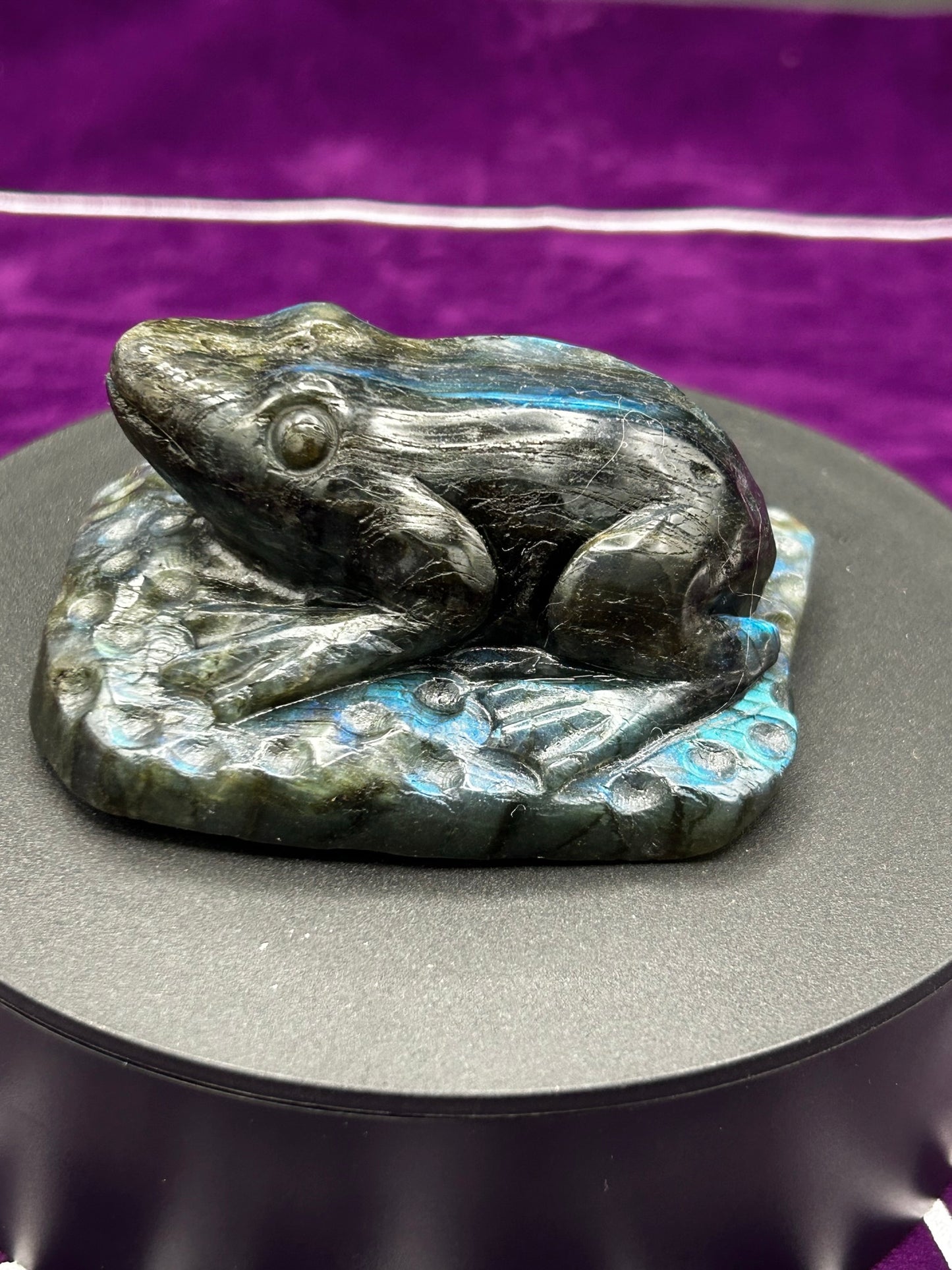 Labradorite Frog