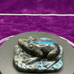 Labradorite Frog