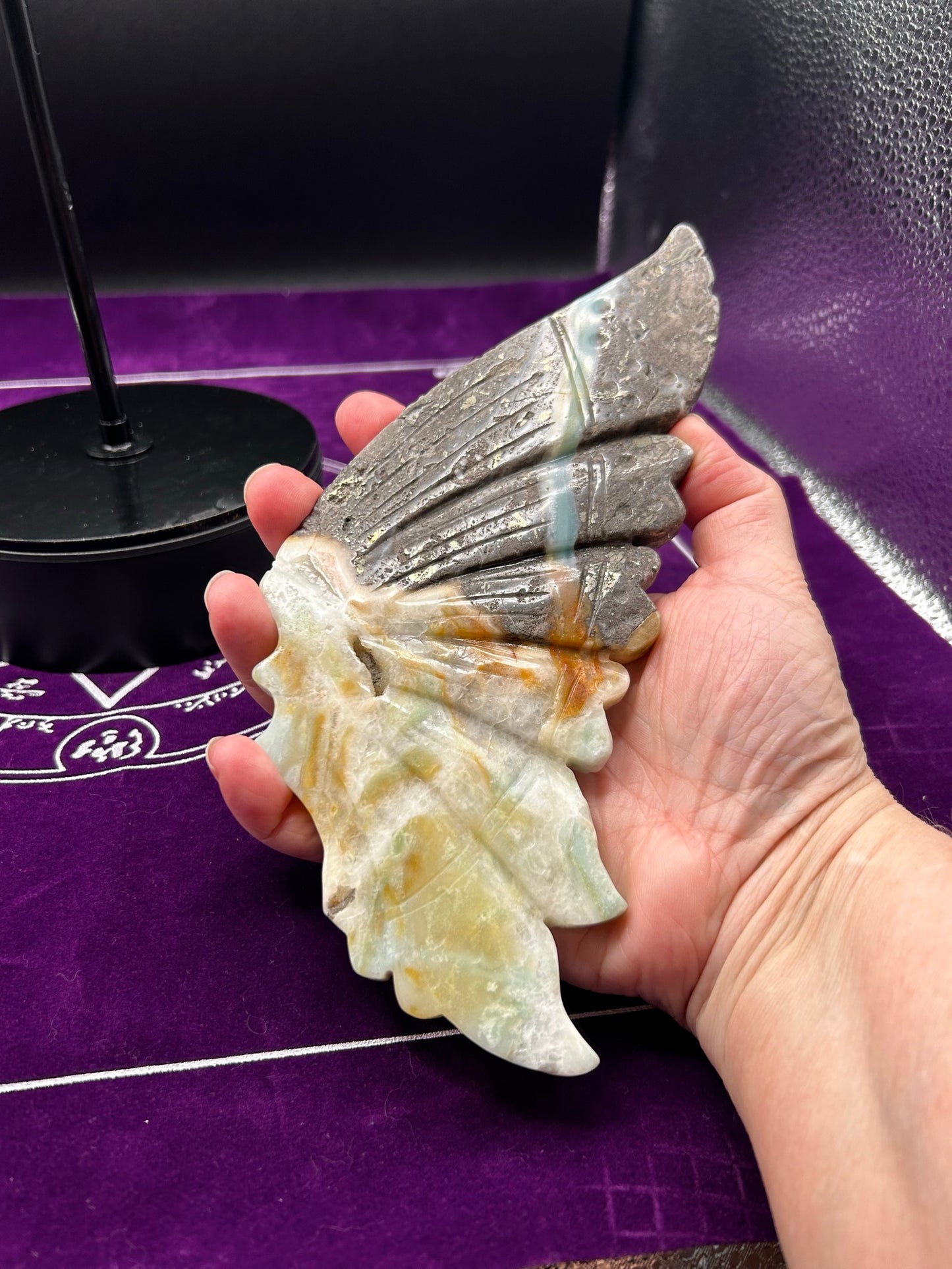 Large Caribbean Calcite Butterfly Wings