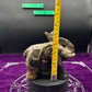 Valcano Agate Elephant