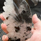 Large Black Touraline Dragon Wings C9