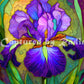 Nettie’s Garden ~ Purple Iris by RomantzArt