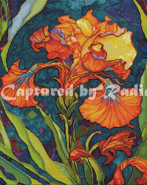 Nettie's Garden - Orange Iris 2 by RomantzArt