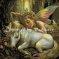 Unicorn by Mikey Bergman