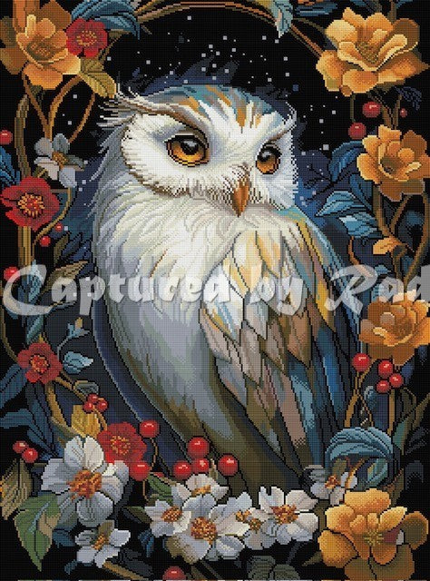 Winter King's Storybook Orionis by RomantzArt