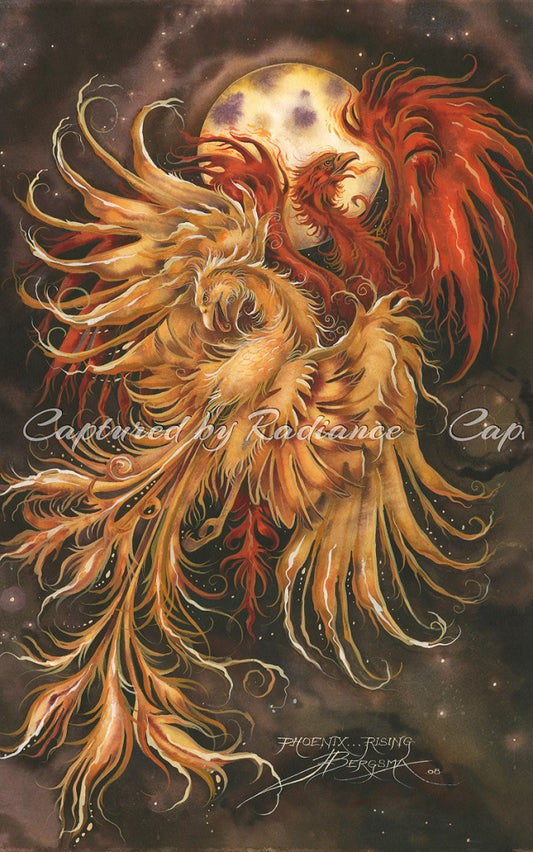 Phoenix Rising by Jody Bergsma