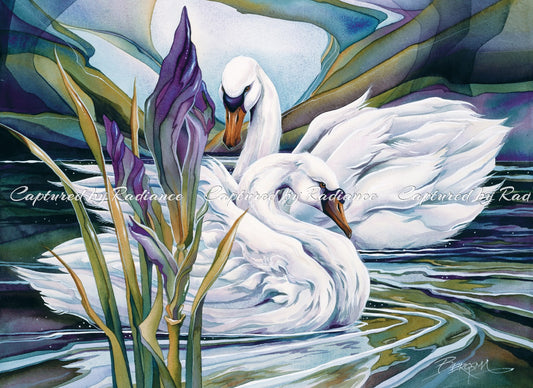 Everlasting Love by Jody Bergsma ~ Pre Order ~ Arrival Approximately Mid to Late May