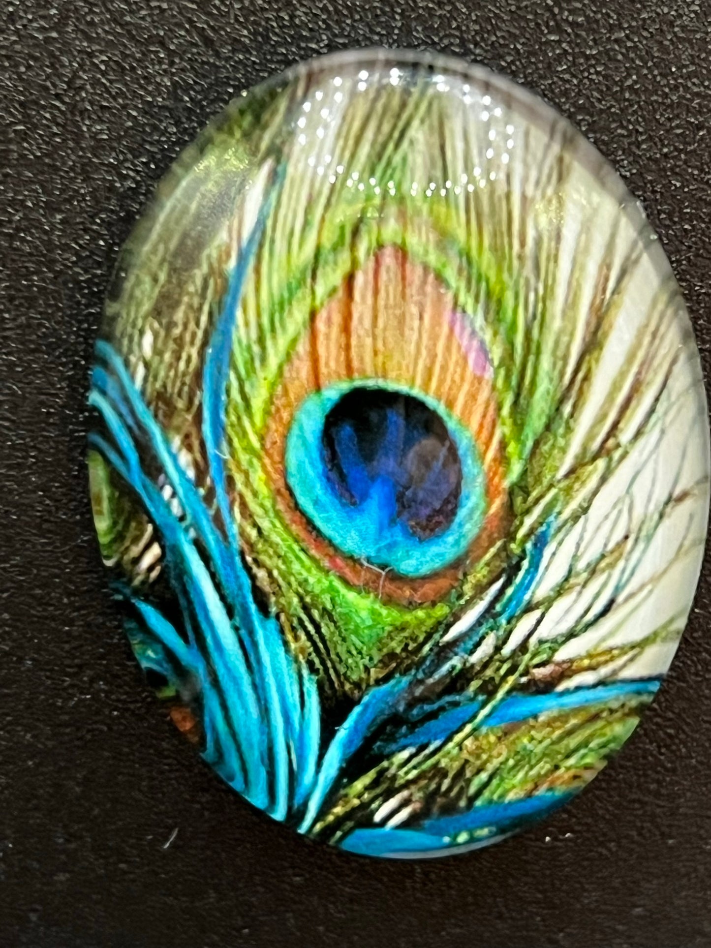 Peacock Eye Feather Coverminder