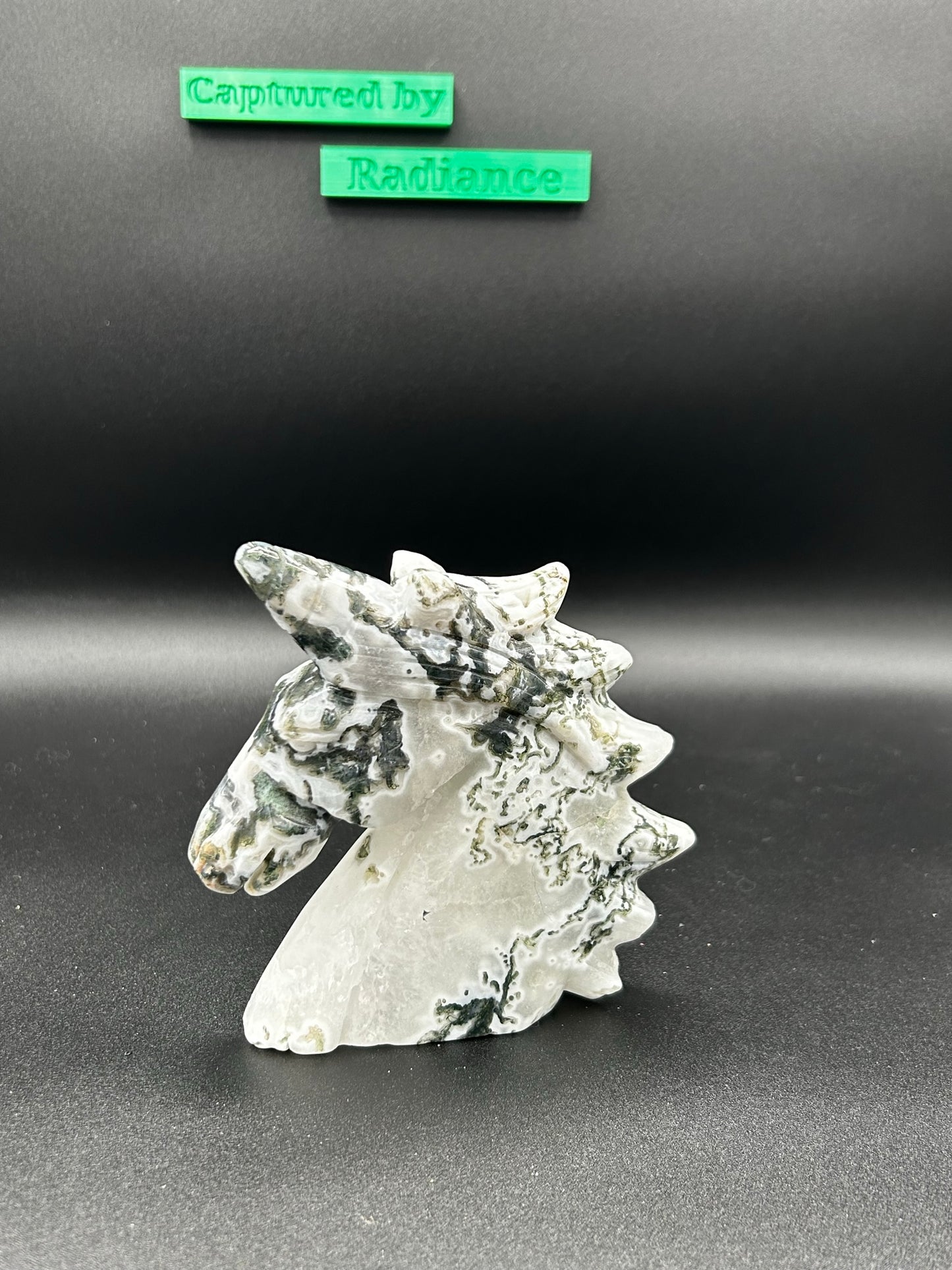 Moss Agate Unicorn w/Druzy