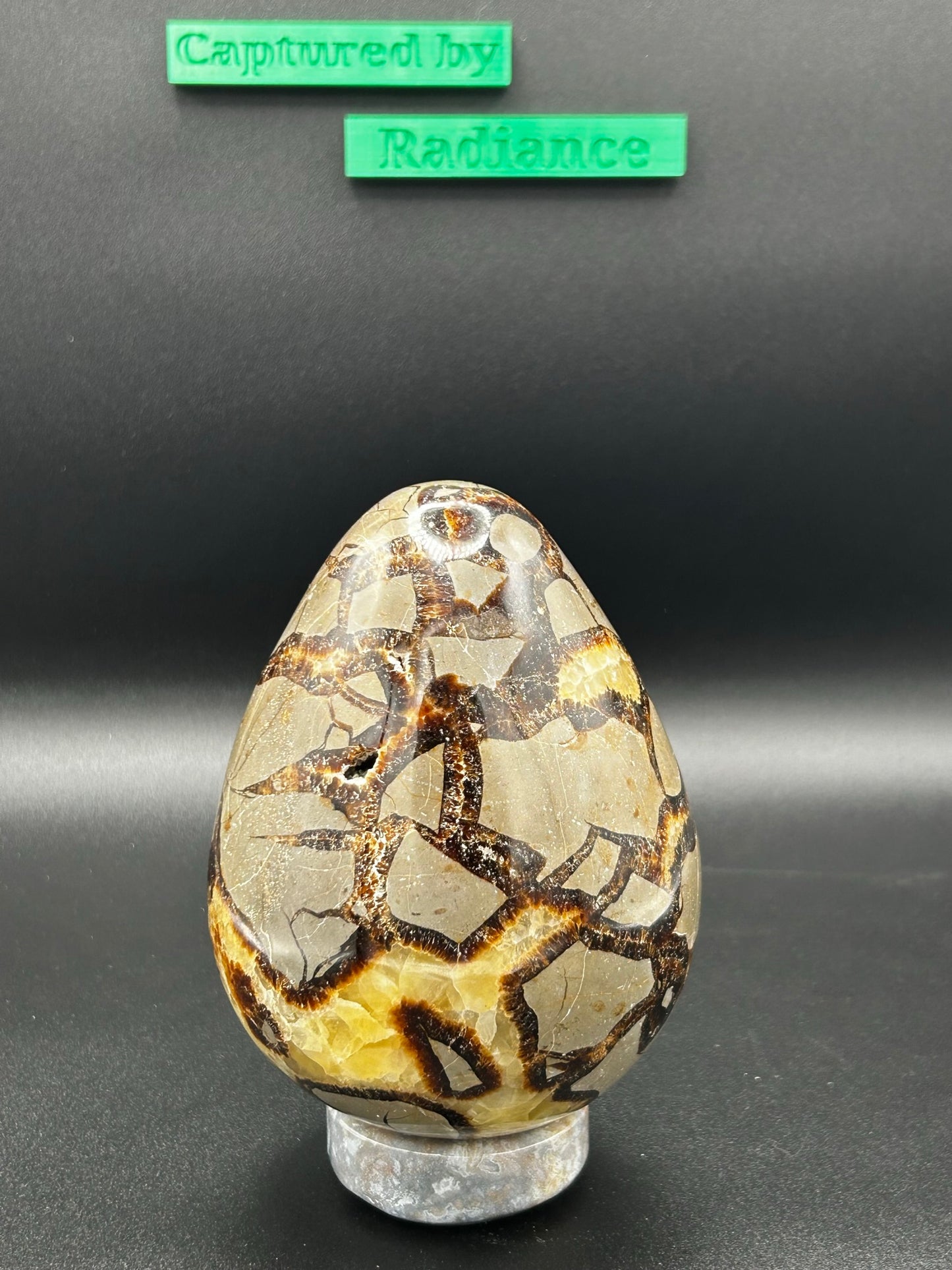 Septarian Dragon Egg w/ Ocean Jasper Stand