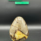 Septarian Dragon Egg w/ Ocean Jasper Stand