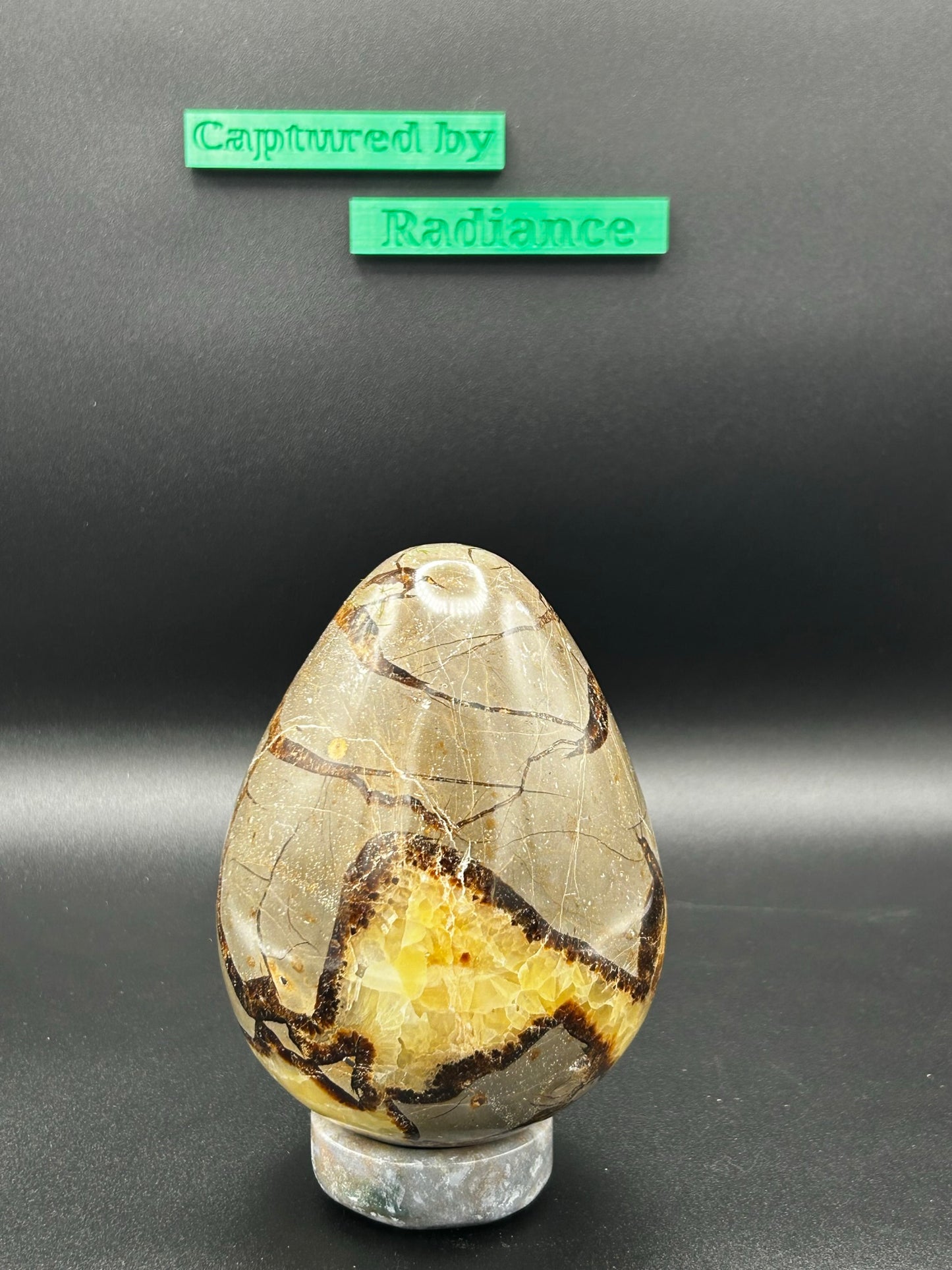 Septarian Dragon Egg w/ Ocean Jasper Stand